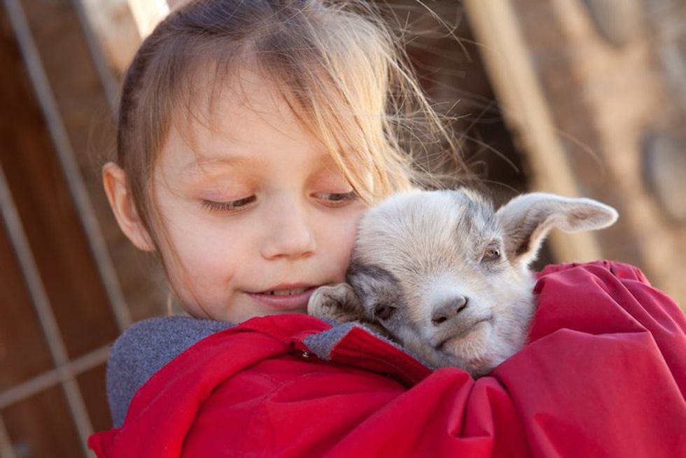 Virginia farm offered up ‘dream job' of snuggling its baby goats — so of course we had to check it out