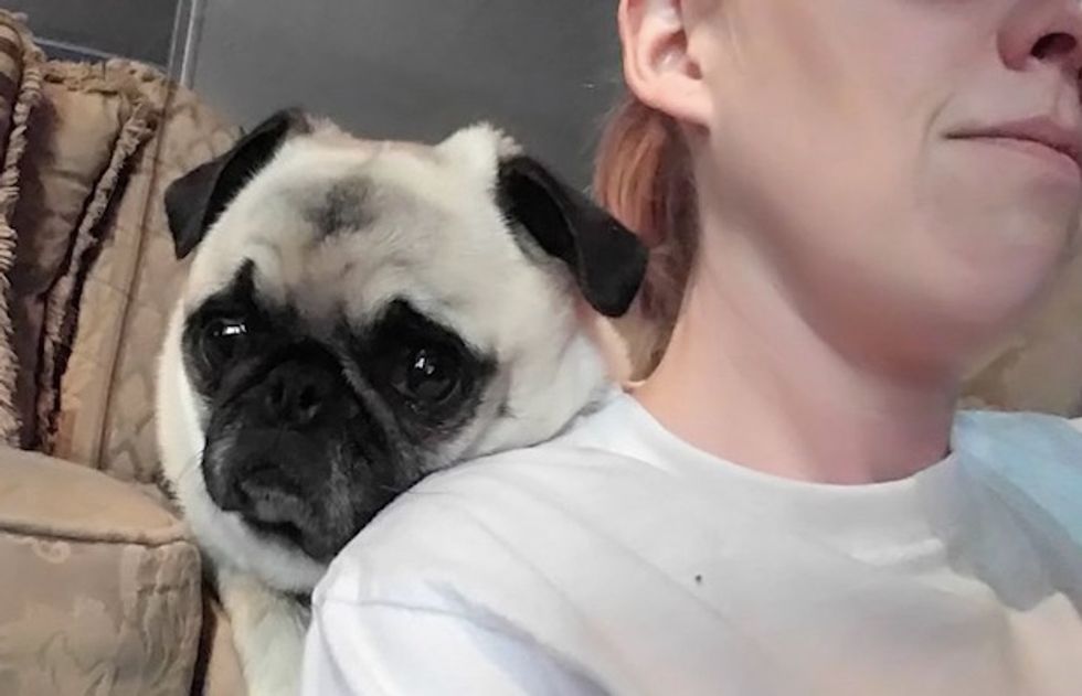 Do You Hug Your Dog? Study Says Hugging Stresses Out Our Canine Friends