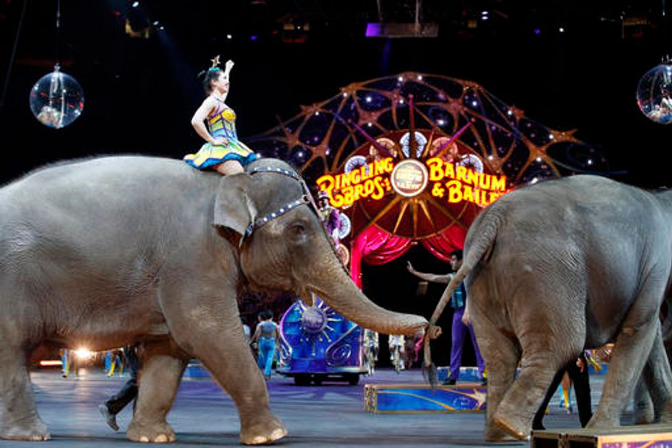 Elephants to Perform for Final Time at Ringling Bros. Circus After Years of Controversy