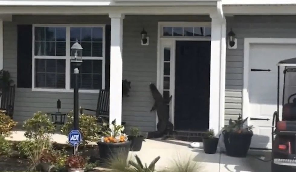 South Carolina Man Startled to See an Unusual Visitor Scaling the Front Door of a Neighborhood Home