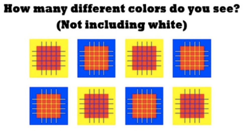 How Many Colors Do You See? Clever Optical Illusion Test Leaves Internet Perplexed