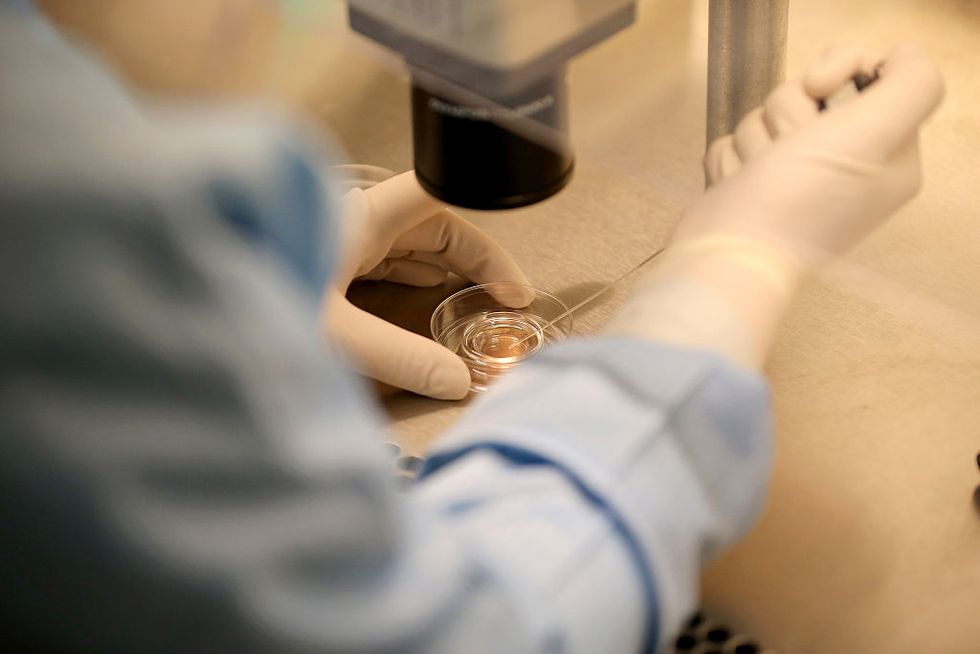 Fertility Doctor Arrested in Italy After Woman Reports Stolen Eggs
