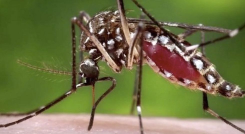 Number of Pregnant Women in U.S. With Zika Virus Suddenly Triples Due to New Counting Method