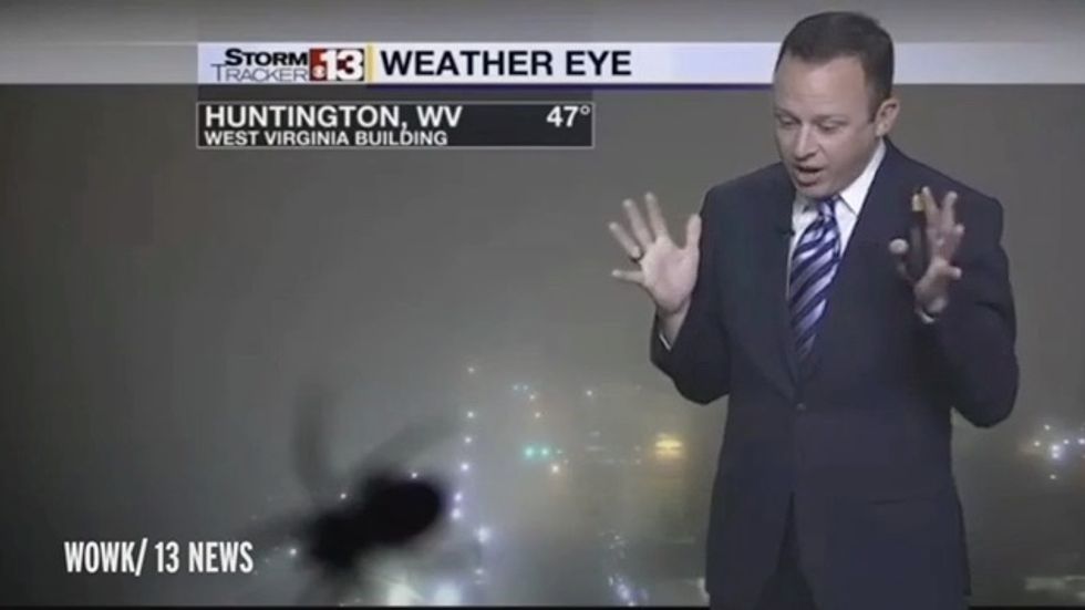 Watch: Weatherman Loses It When Spider Crawls Across Camera During Live Broadcast