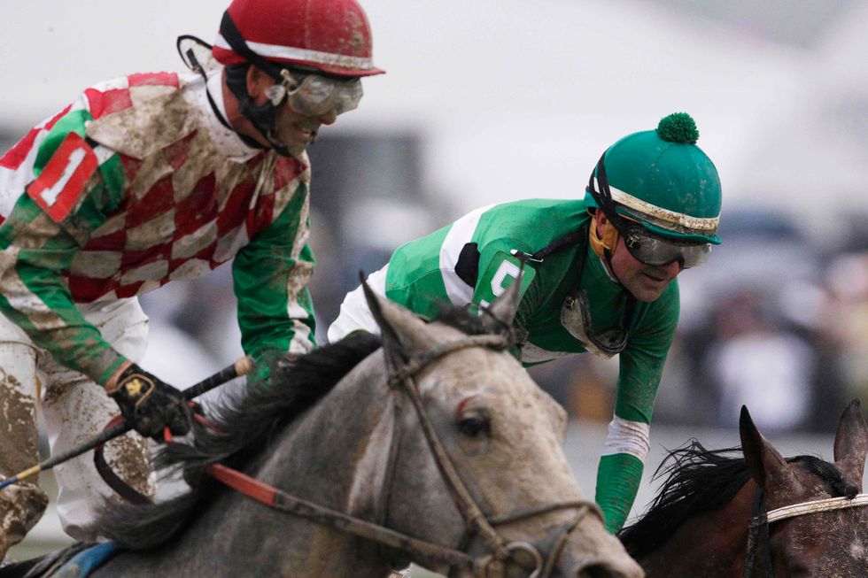 Preakness Kicks Off With Tragedy as One Horse Collapses and Dies After Winning Race and Another Has to Be Euthanized