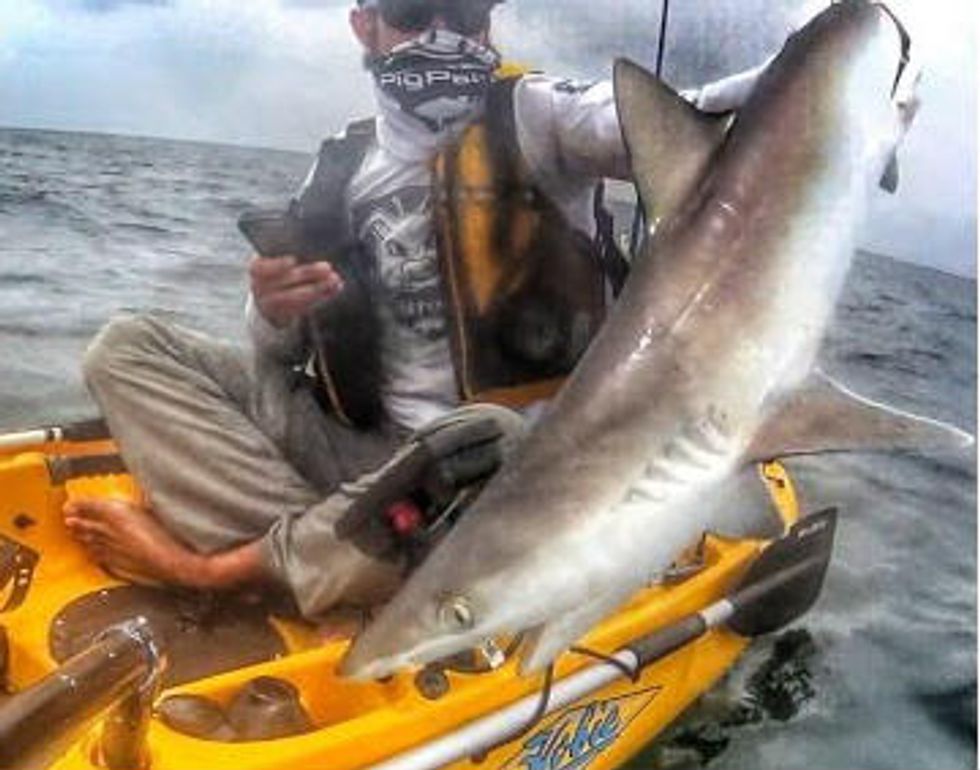 Video: Kayak Fisherman Reels in a Shark — Then Makes a Rookie Mistake That Almost Costs Him