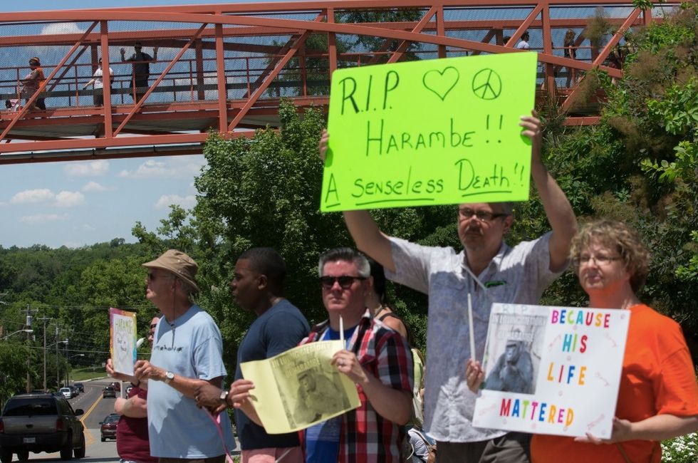 Cincinnati Zoo Director Defends Killing Gorilla to Save Boy, Says Critics Playing 'Monday-Morning Quarterback