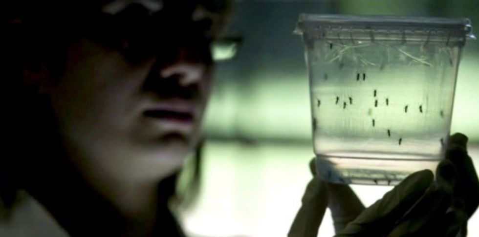 Baby Girl With Zika-Related Microcephaly Born in New Jersey 