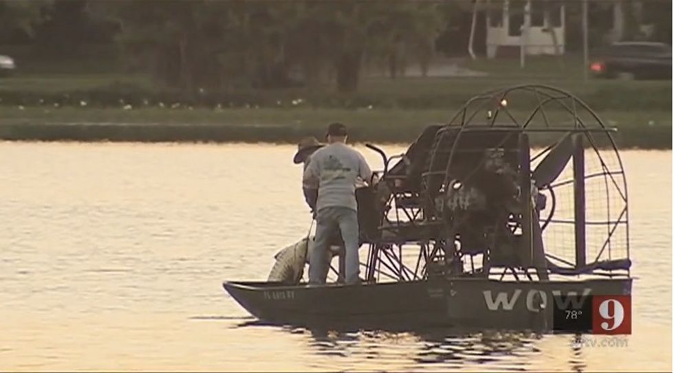 Alligator With Man's Body in Its Mouth Spotted in Florida Lake — but Trappers Believe They've Captured It