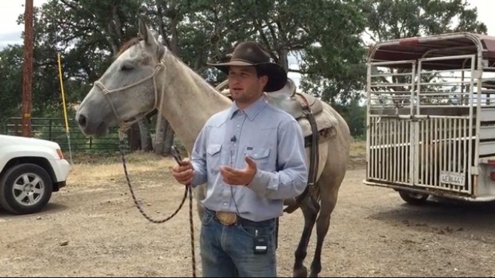 That's a First For Me': Hero on Horseback Lassos Suspected Bike Thief Outside Oregon Wal-Mart