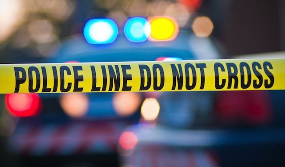 Sheriff: Alligator Attacks Boy at Disney's Grand Floridian Resort in Orlando