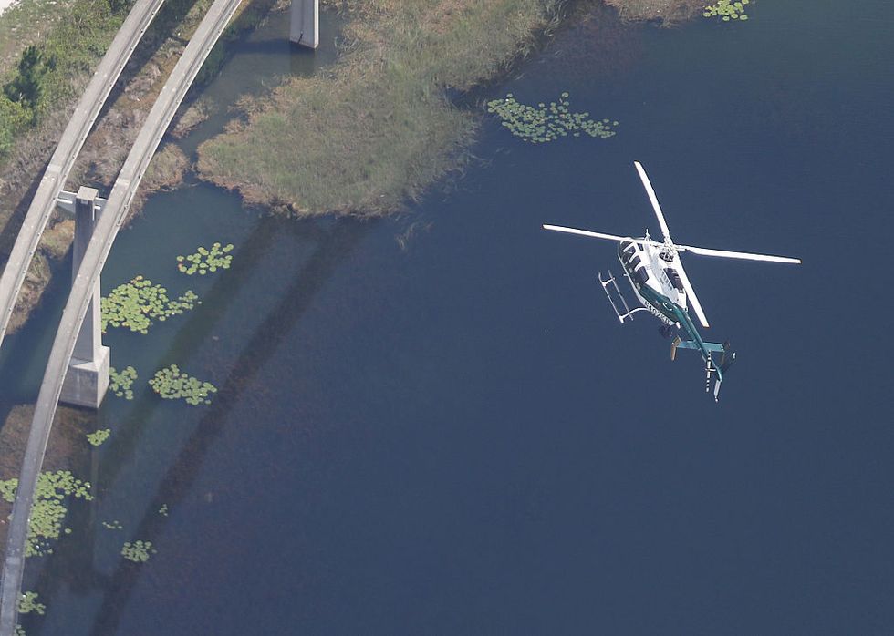 Feminist Says She Doesn't Feel Bad About Toddler Killed By Alligator Because She's 'So Finished With White Men's Entitlement