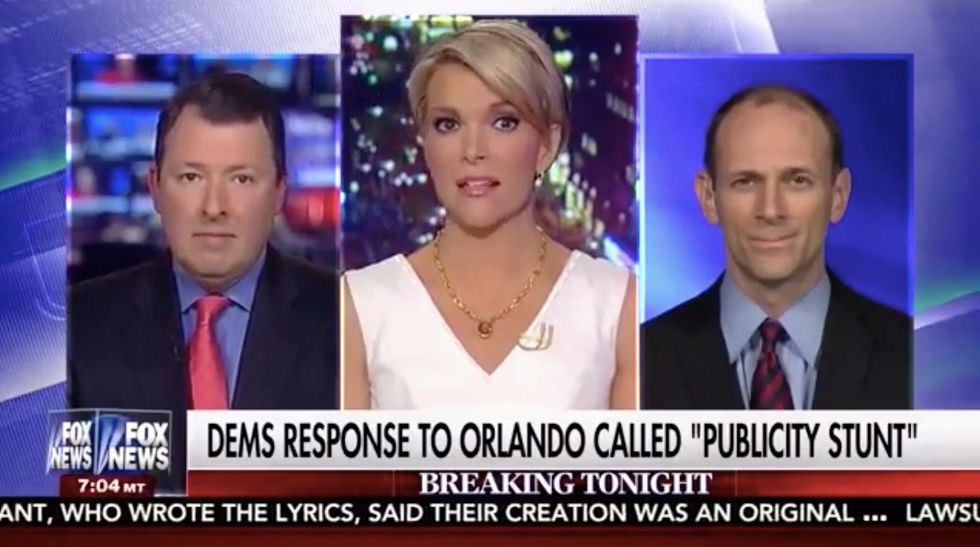 Megyn Kelly Blasts Democrats: 'Taking Guns Away ... Doesn't Solve the Problem!' 