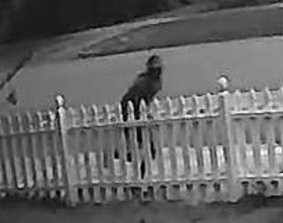Burglar Takes Car From Home in South Carolina — Then Guilt Apparently Sets In