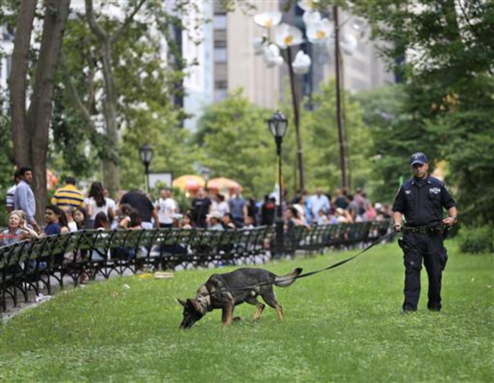 Investigators Release New Details Regarding Mysterious Explosion in Central Park