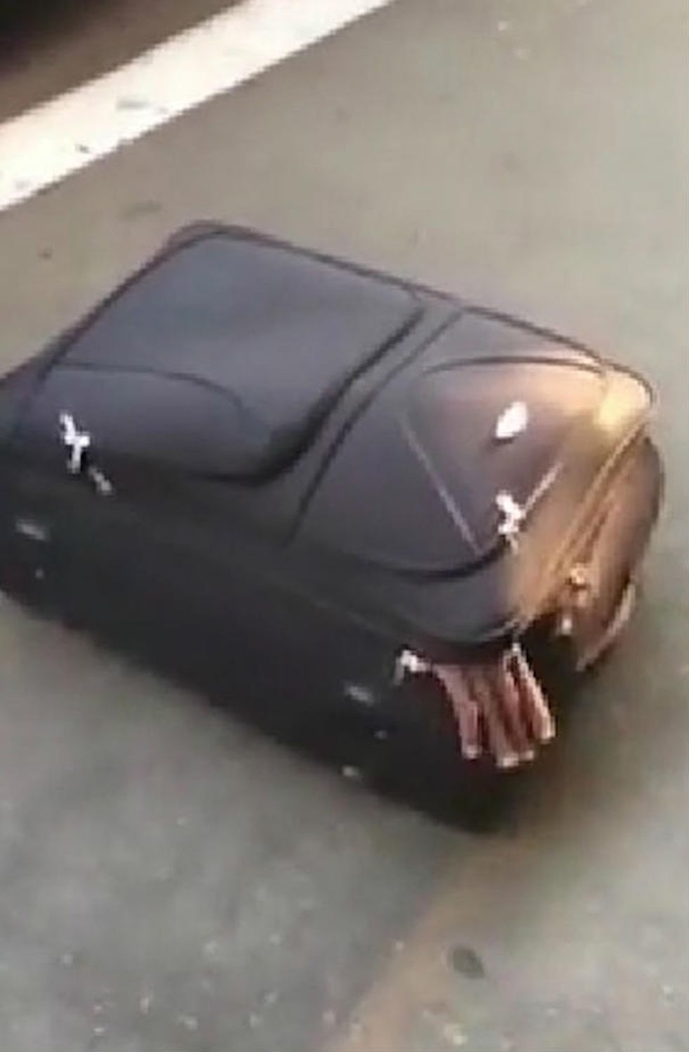 Passengers Hear Noises Coming From Unattended Suitcase — Stunning Video Captures Moment Cops Find Out What’s Inside