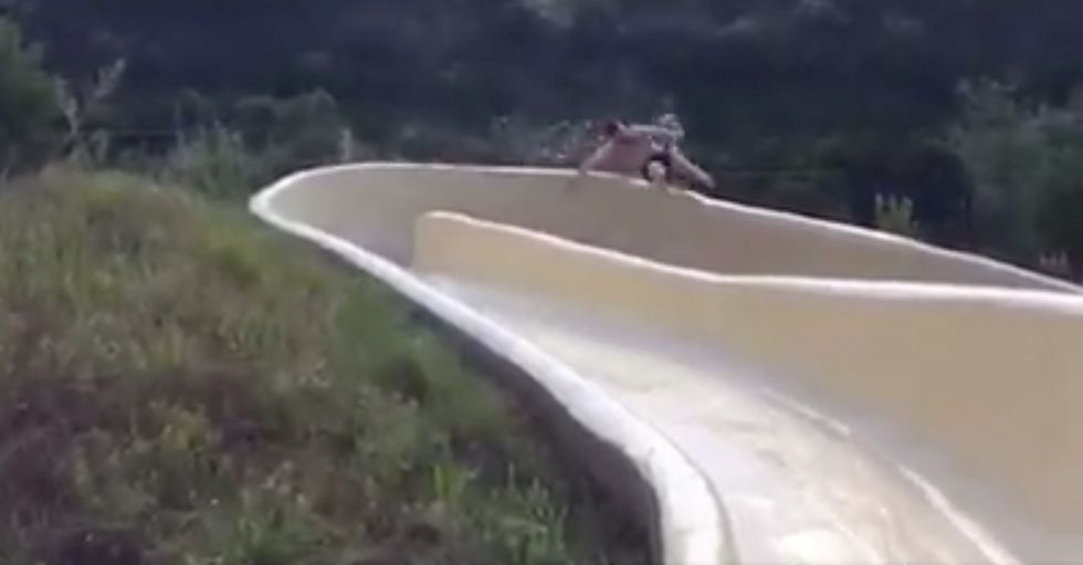 Watch Scary Moment Man Goes Flying Out of Giant Water Slide, Falls Down Rocky Cliff