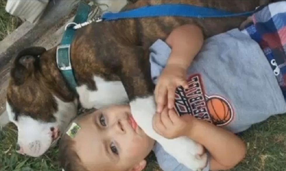 Death Threat Against Police Officer's Children After He Fatally Shoots Dog