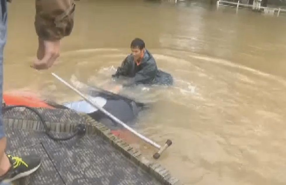 Watch Dramatic Moment Rescuers Pull Woman, Dog From Sinking Car