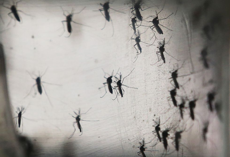 Miami Beach Becomes Second Site of Zika Transmission in South Florida