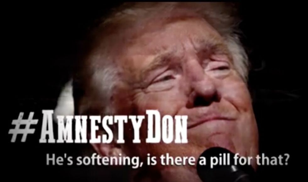 Amnesty Don': MSNBC Host Releases Music Video Slamming Trump's Immigration Policy 'Softening