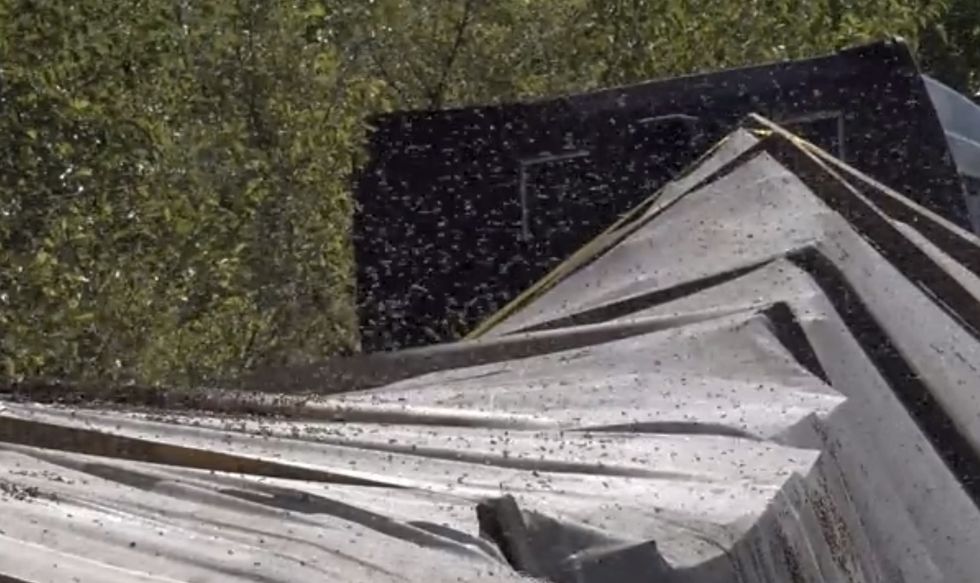 Truck Reportedly Loaded With Up to 11 Million Bees Overturns in Traffic Accident. (Yes, Some of Them Got Out.)
