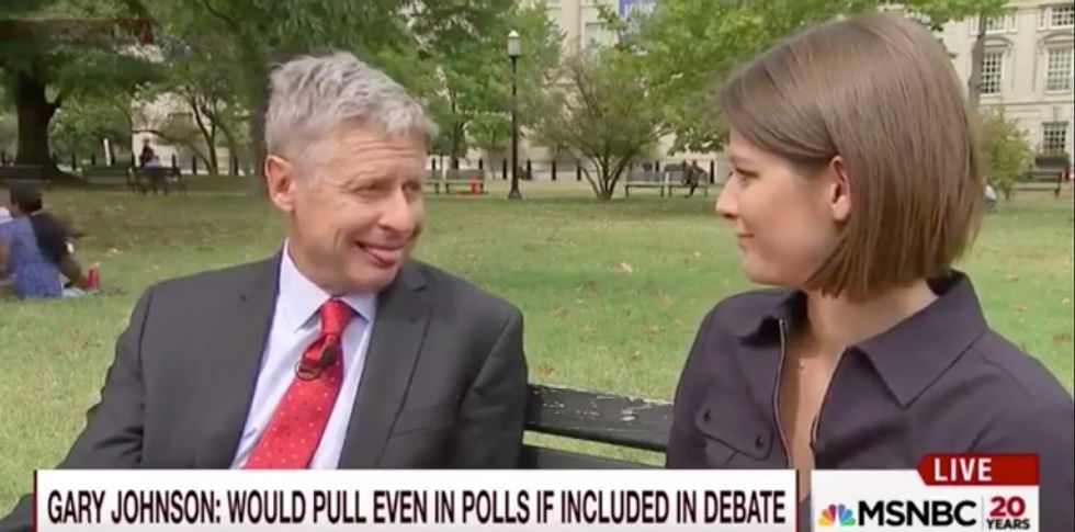 He really did that?': Gary Johnson's sudden antics during interview leave MSNBC panel dumbfounded