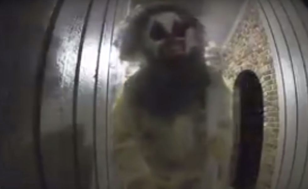 Creep in clown mask points rifle at woman, demands entry into house — turns out she has a gun, too