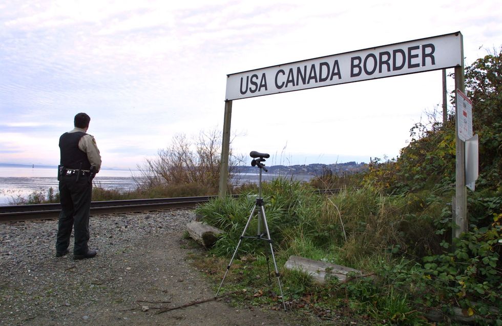 Canadian immigration website crashes amid results of American presidential election