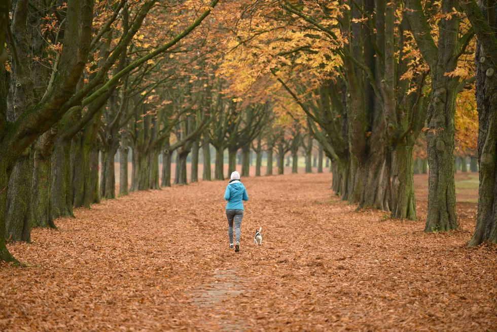 Photo: Mom 'heartbroken' over election spots Bill and Hillary Clinton taking walk in the woods