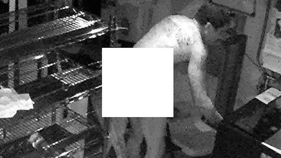 Man enters pizza store through roof vent, strips naked, then robs it