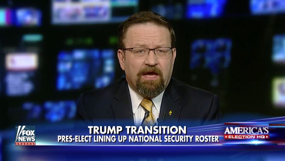 National security expert praises Trump's first cabinet picks: 'Adults are back in the White House