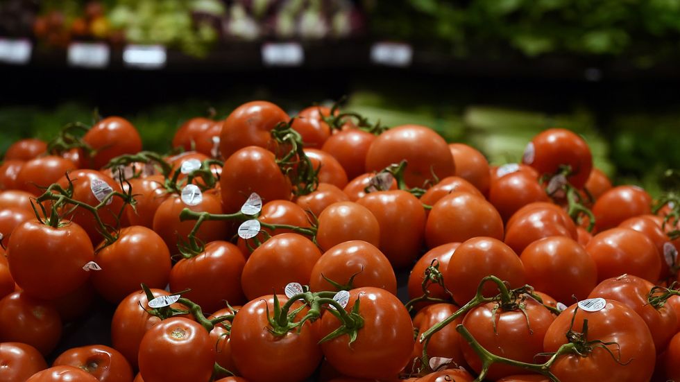 Supermarket guru Phil Lembert gives his holiday grocery and cooking tips