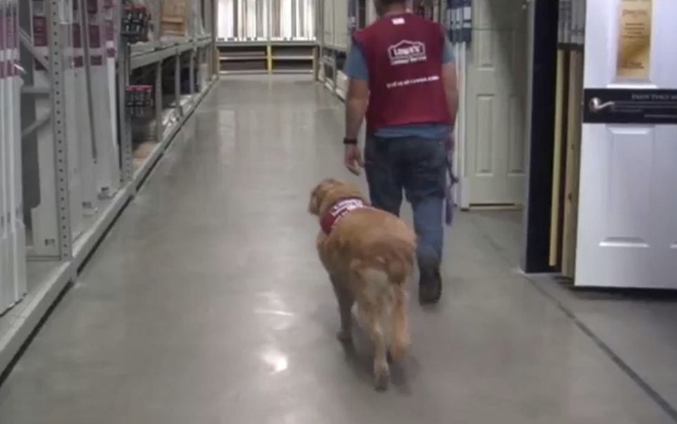 Disabled vet struggled to find job with service dog by his side. Then the script gets flipped.