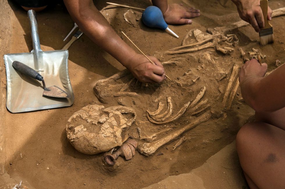 Glasgow archeology students advised to skip lectures if the sight of bones is triggering