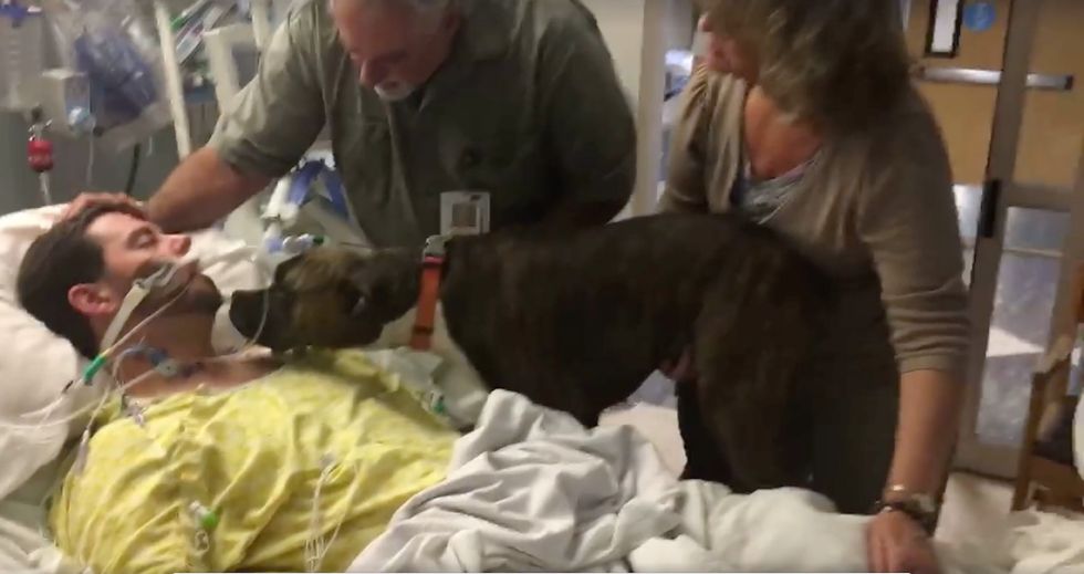 Touching video of a dog saying goodbye to his owner goes viral