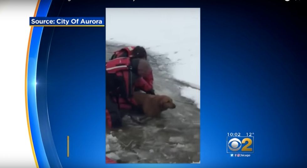 Watch: First responders save a dog and his owner from a frozen pond