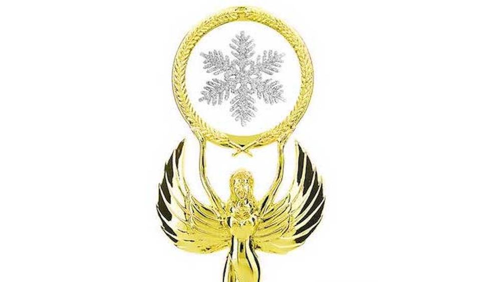 Introducing the 2016 Presidential Election Participation Trophy for triggered Democrats