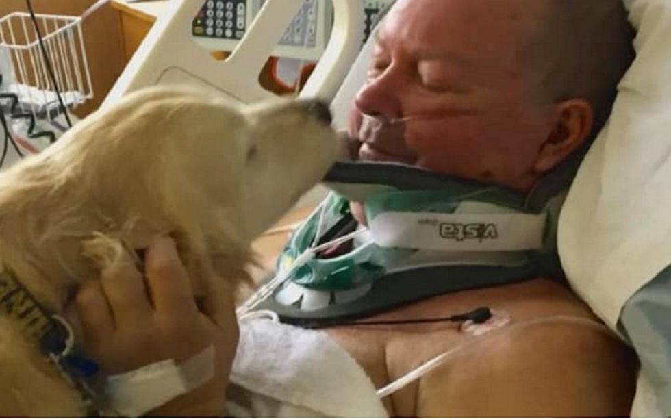 Hero dog saves owner with broken neck who laid in snowbank for 19 hours