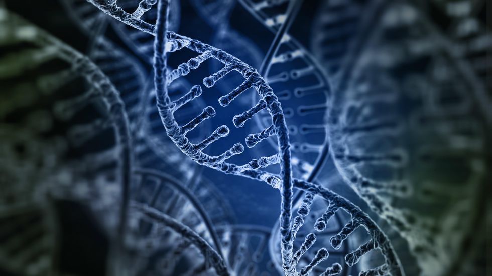 Dr. David Cook pulls back the curtain on improper use of science in politics
