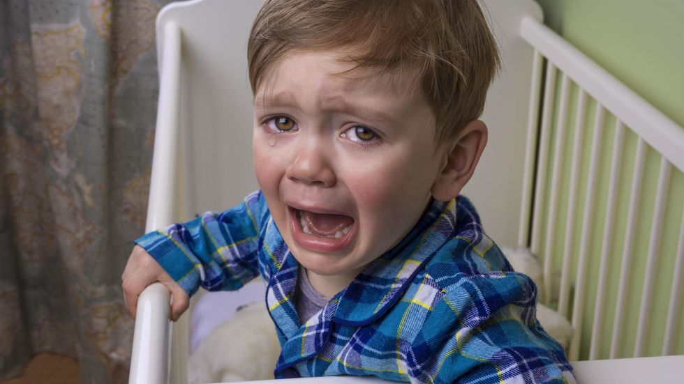 Schools offer grief counseling to those upset by Inauguration Day