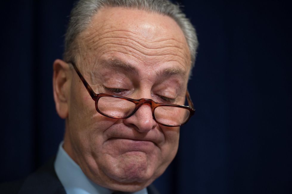 Chuck Schumer produces 'fake tears' for Trump's security, but proposed the same idea in 2015