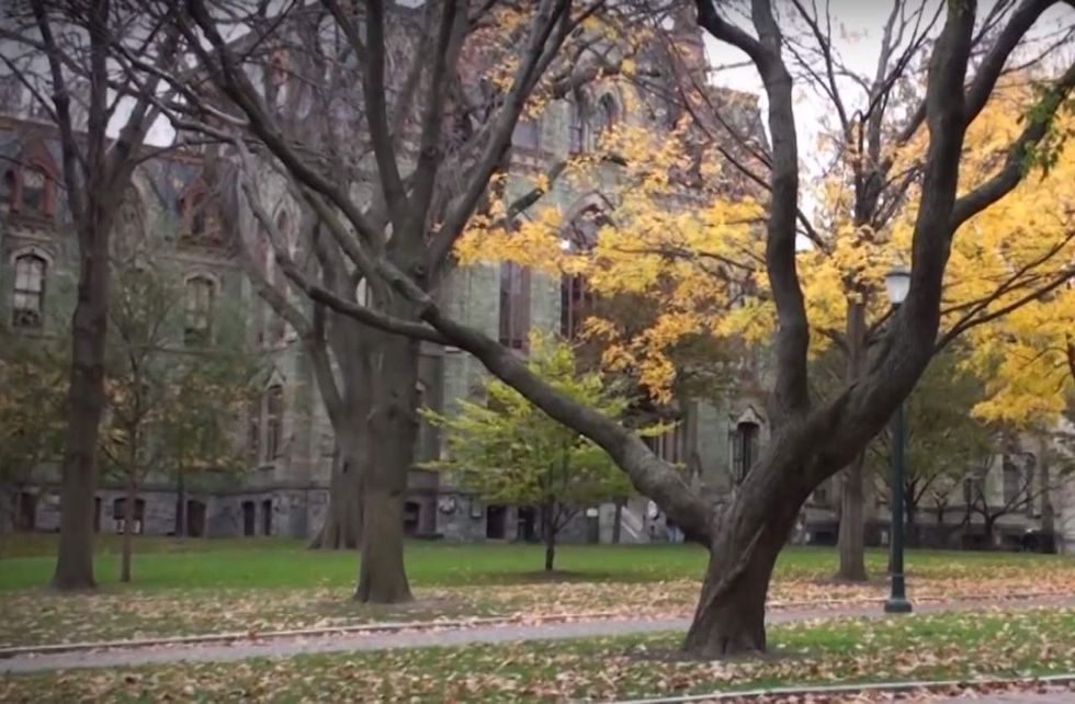 Black Ivy Leaguer: I suffered 'trauma' over profs who didn't acknowledge their 'white privilege