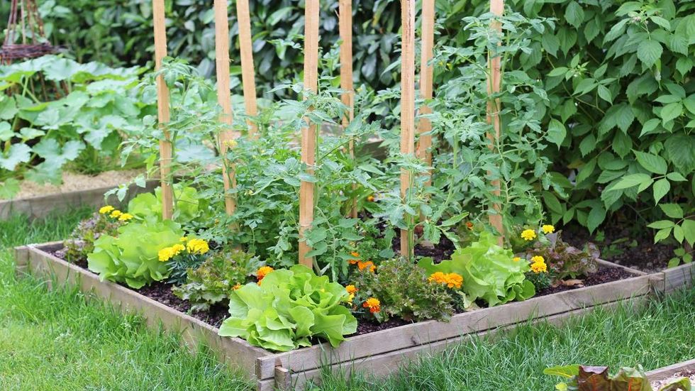 The Springtime planting season is approaching, how do you prepare?