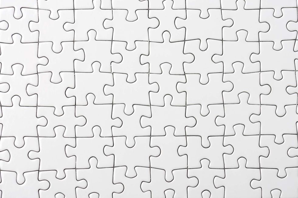 Pennsylvania College Democrats are wearing white puzzle pieces as a 'privilege' reminder