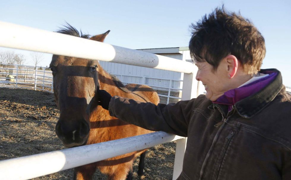 Regulation madness: State agency threatens to jail and fine Tennessee woman if she touches a horse