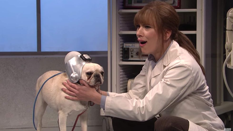 Rare 'SNL' skit actually mocks liberals with cute, pro-Trump pug: 'You liberal snowflakes!