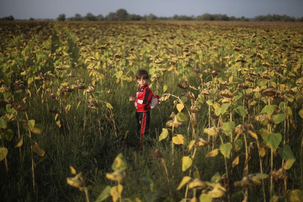 Commentary: Boys want to be dangerous, and we should absolutely let them