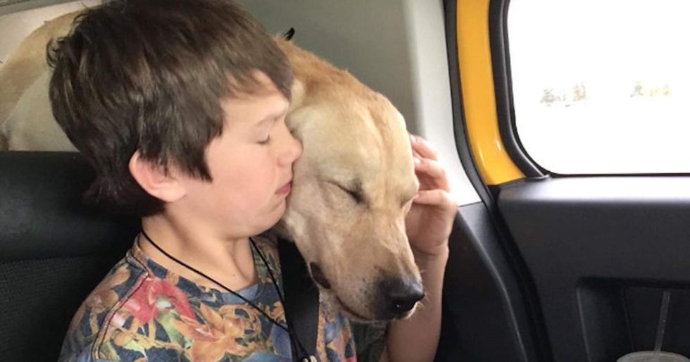 Family of dog killed by USDA cyanide mine files petition to outlaw dangerous devices