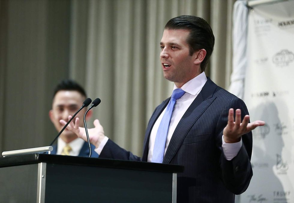 Report: Donald Trump Jr. might run for a major public office in 2018